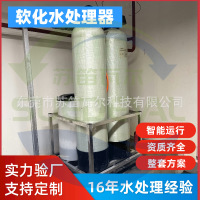 全自动软化水装置单阀单罐软化水处理设备智能软化水处理器