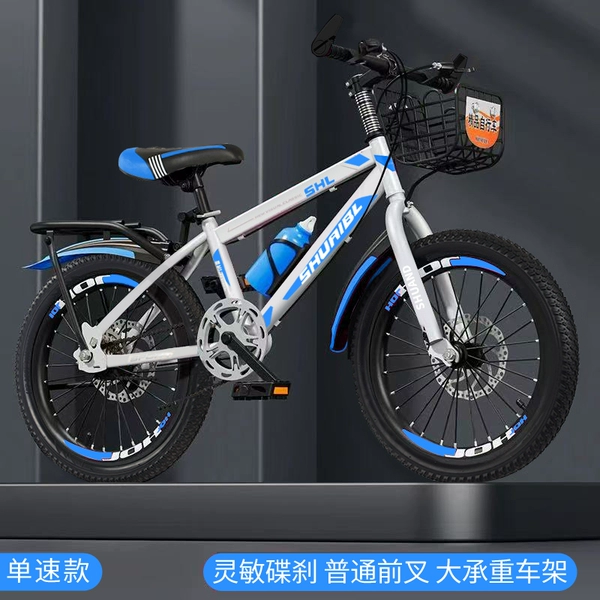 White blue single speed hard fork double disc brake luxury basket rear seat