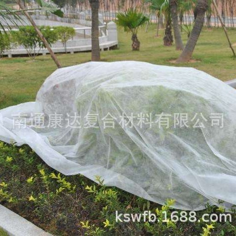 50g 农业育苗无纺布