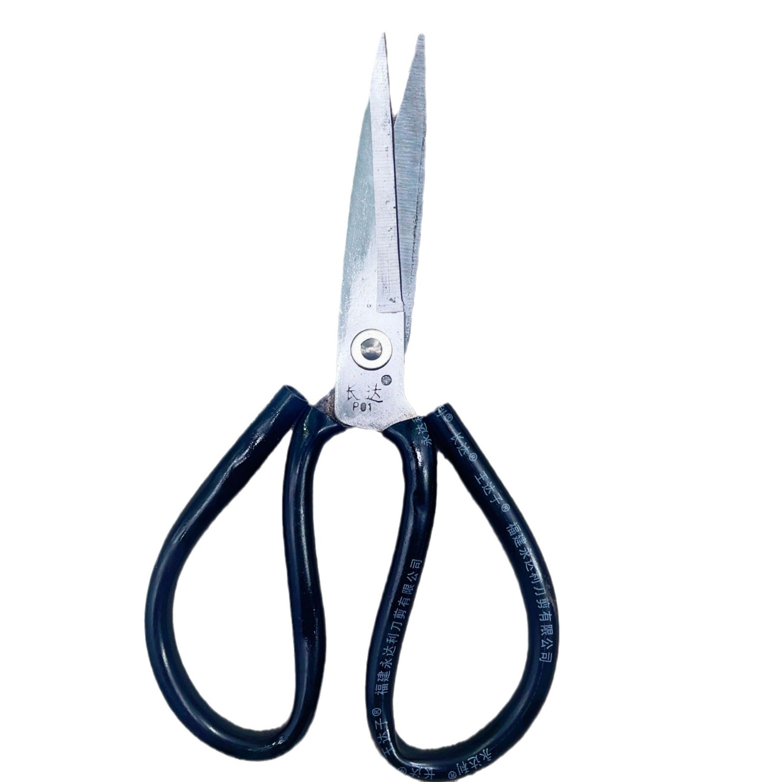 2024-06-30 10:28:05.jpg