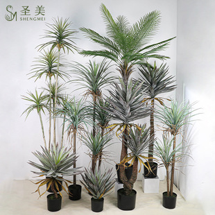 ����Gֲ���ԪM�~��Ѫ��A�~�����m�z�m���Rβ�Fᘿ��F�䙻���b�