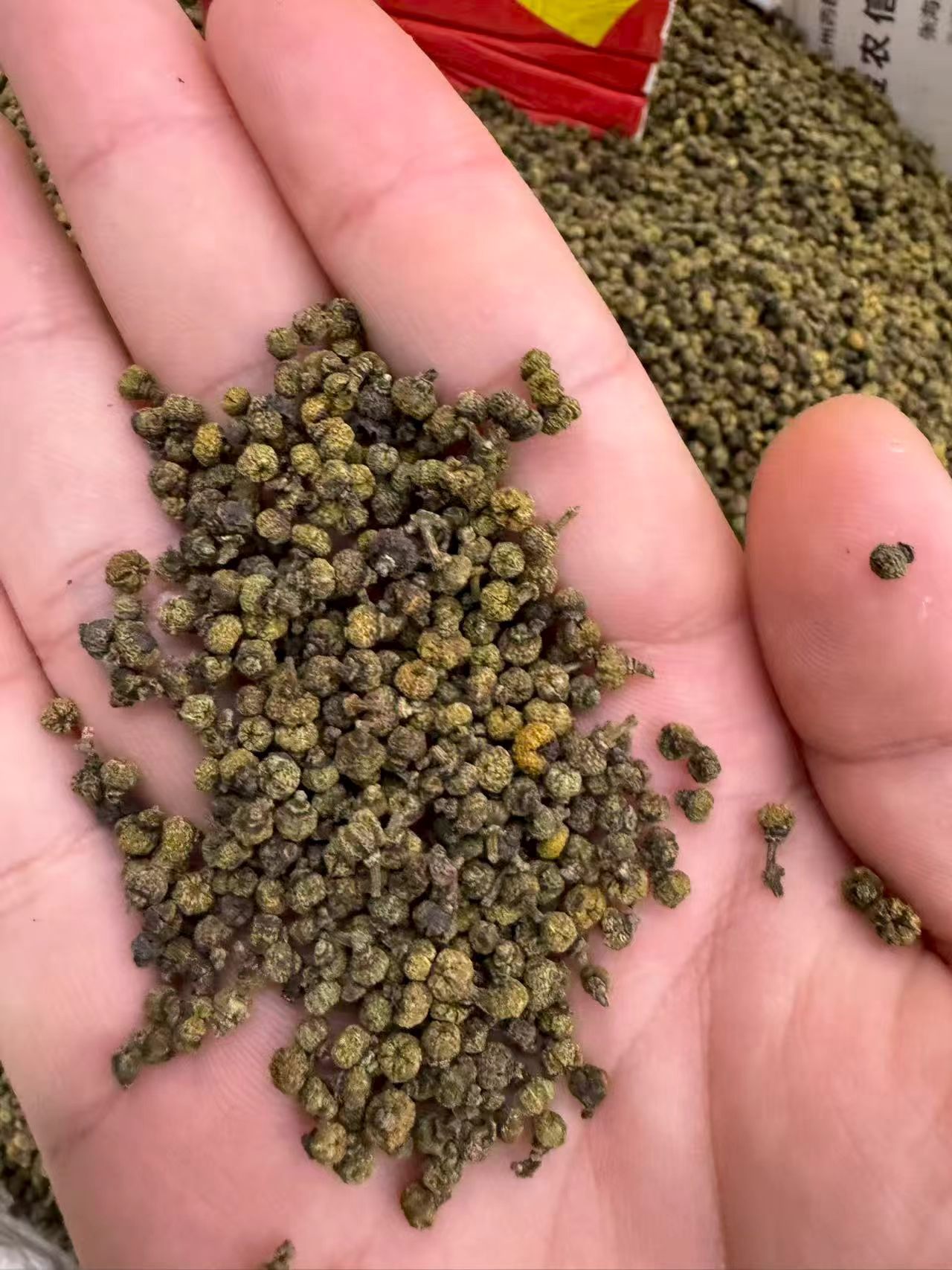 Evodia Fruit Wu Zhu Yu 1000g Bag Dried Jiangxi Herb for Culinary and Traditional Use in use