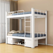 �Ӻ��]��������ͲĴ��W���T�������p�����´��Fˇ�p�˸ߵ��F�ܴ�