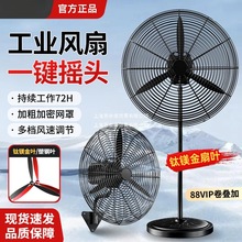 ���I��L�ȱ��ȴ��������������ţ���L�ȳ���ȩ���L������