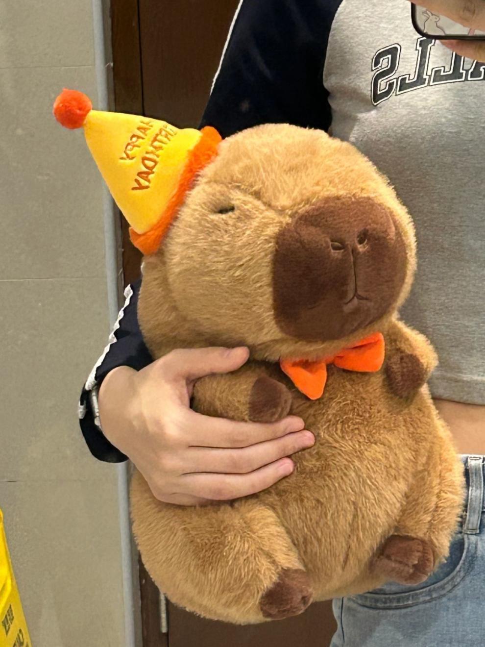 32e218b1-84af-4e1d-92cd-796356a0c739.jpe