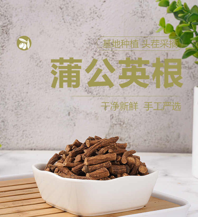 Dandelion Root Tea (Taraxacum officinale) — Roasted Pú Gōng Yīng Root, 170g Jar quality and texture
