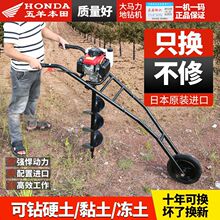 五羊本田大功率汽油地钻挖坑钻孔打桩电线立杆打洞种树果园施肥机