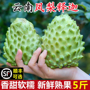 ����P�����r���10�﷬��֦ţ��Ĳ��ó�ˮ���F����ժ����