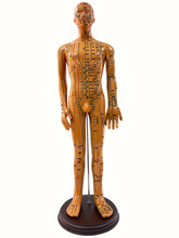 针灸穴位人体模型全身家用中医十二经络图小皮人硅胶扎针练习铜人