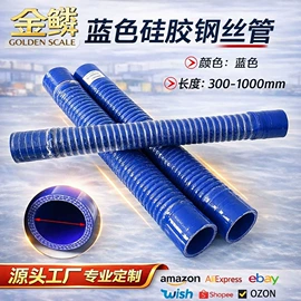 编织胶管;其他制动系统;汽车水管