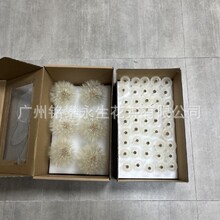 厂家批发蒲公英干花永生花创意diy摆件插花玻璃罩手工材料包