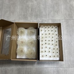 メーカー卸売りタンポポのドライフラワー永生花創意diy置物生け花ガラスカバー手作り材料バッグ
