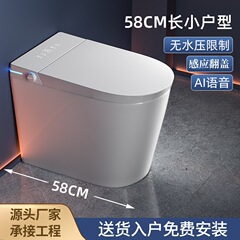 58cm超短タイプの小型タイプのスマート便器全自動一体式無水圧力制限電動即ち熱便器