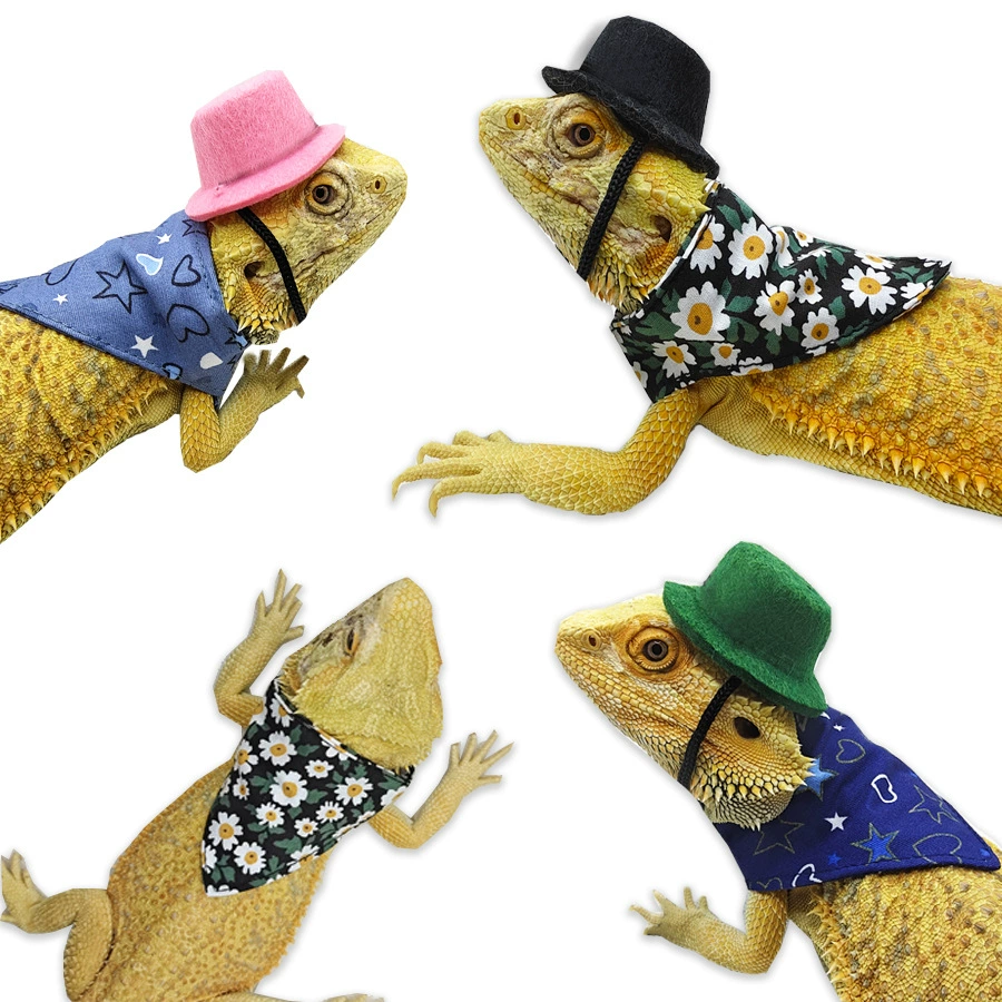 Ящерица Хомяк Одежда Шапка Скользкое полотенце Альпинизм Домашнее животное На выход Трансформация Одежда Прогулочная ящерица Одежда для маленьких домашних животных