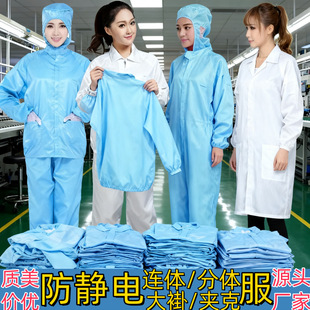 Hooded Anti-Static Coveralls, Dust-Free Clothing, Clean Room Spray Painting, Food and Pharmaceutical Factory Work Clothes, Separate Suit Set