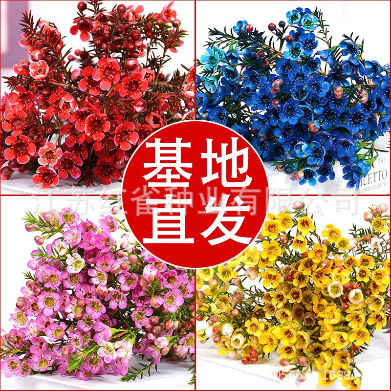 O1CN01PbMBjt289DMBcC0Hw_!!2215