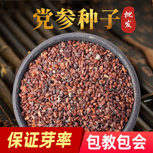 �h���N��ș�ķNֲ�N�ѷN����Cếh�خa���ؼ����w�h���S����