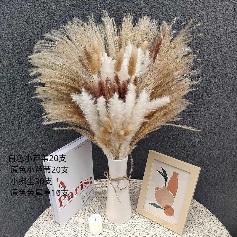 アマゾンはよく売れています。葦の花の花束です。|undefined