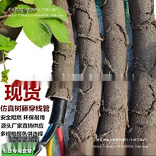 ���ϸɘ�֦늾����@��ľ���ٗl�bܷ�Ƥ������Ę��ٴ���̫��