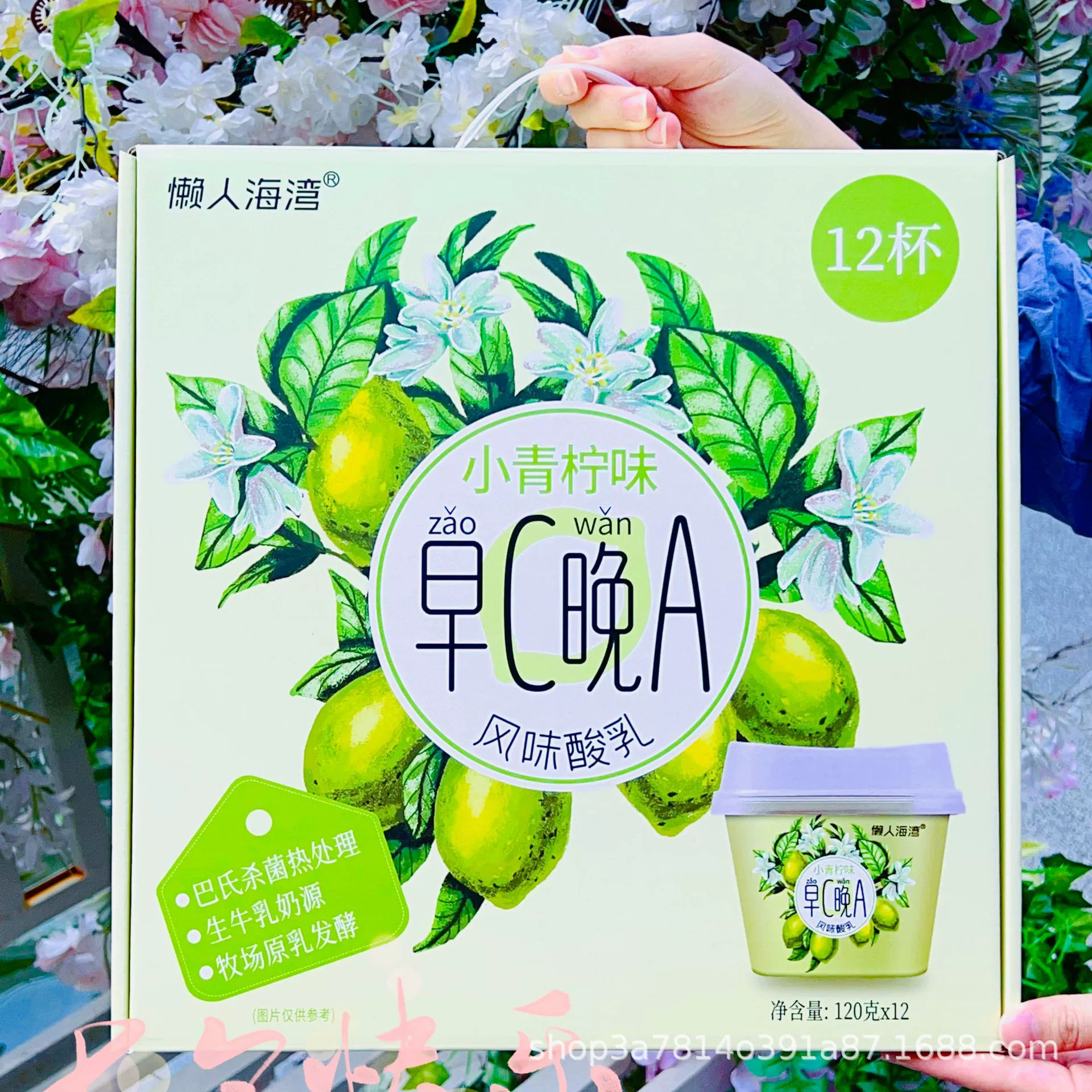 Lazy Bay Morning C Night A Little Lime Yogurt Подарочная коробка 120 г X 12 чашек Ароматизированное ферментированное молоко Йогурт интернет-знаменитостей.