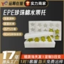 定做定制异型珍珠棉水果托