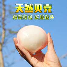 �۸��ؐ����Ȼؐ�����ݺ����p�������������Y��Ҿӹ�ˇƷ�[��