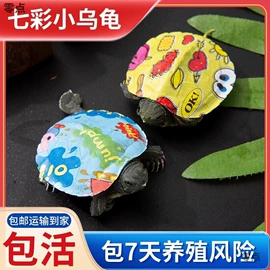 离心泵;磨片、切割片;电焊机