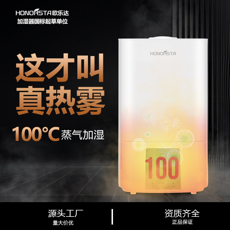 Add Water to the Hot Evaporative Humidifier, Bedroom Light Sound Baby Home Office, High Temperature Distillation Hot Mist Sterilization
