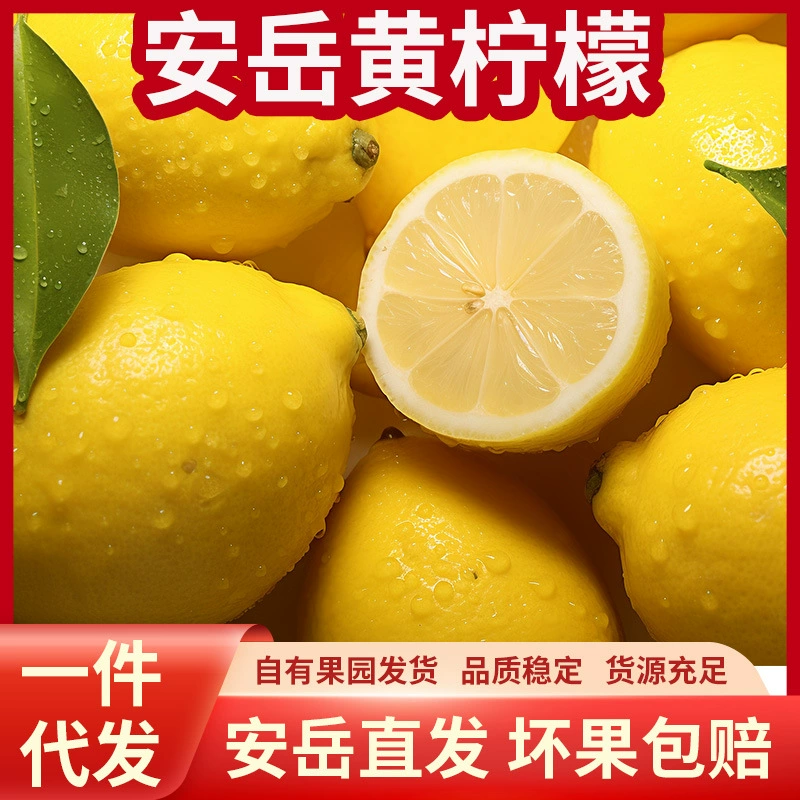 Оптовая продажа свежих лимонов Anyue из Сычуани, первоклассные свежие фрукты, прямые поставки от производителя, супержелтые лимоны, дропшиппинг.