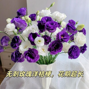 ˮ����õ�廨������������k����ˮ�B�۹�����r�л�ֱ�l�����r��