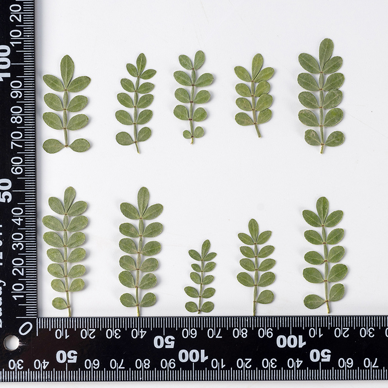 O1CN01KJkjWg2CHEfsf1Aba_!!2211