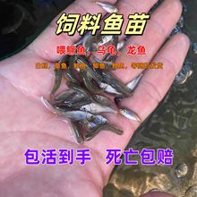 ����~�r��ι�B������~���~���D��������N�~�Bֳ��ˮ�^�p�~���