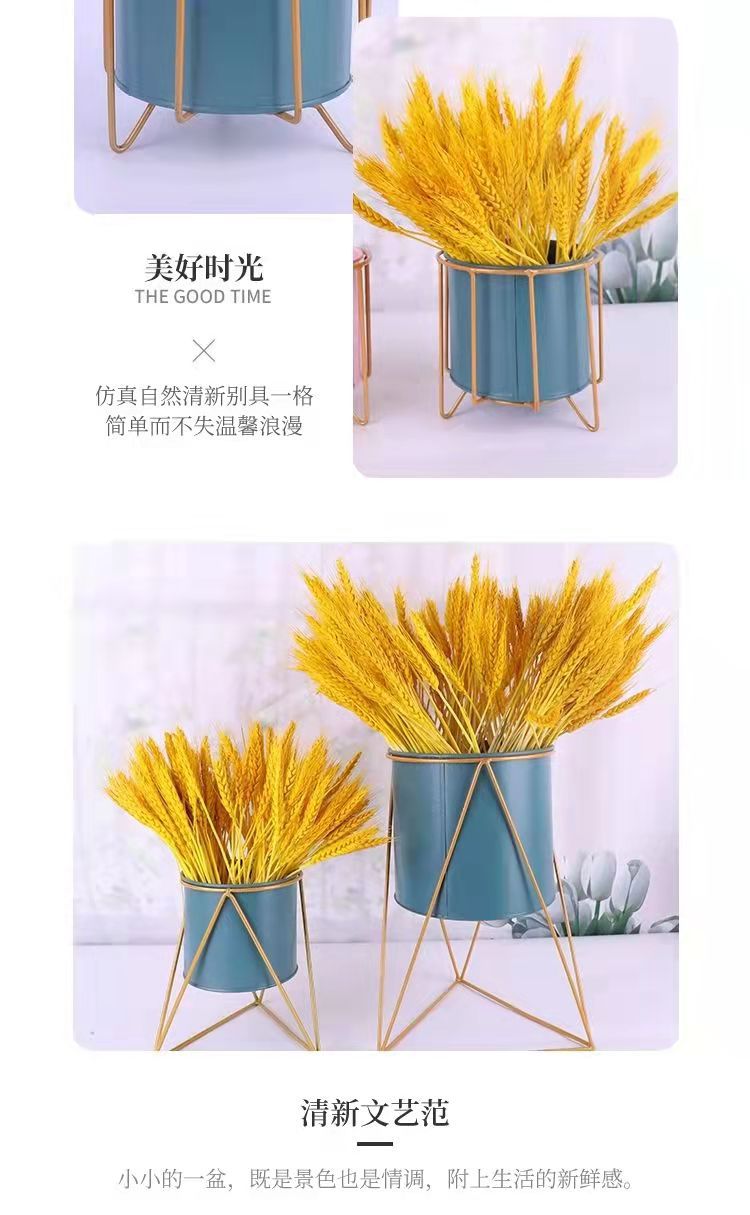 微信图片_202110151844164