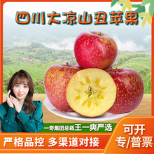 【严选】四川大凉山丑苹果 代发5斤盐源斌糖心丑苹果当季新鲜水果