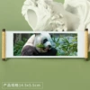 Panda 163