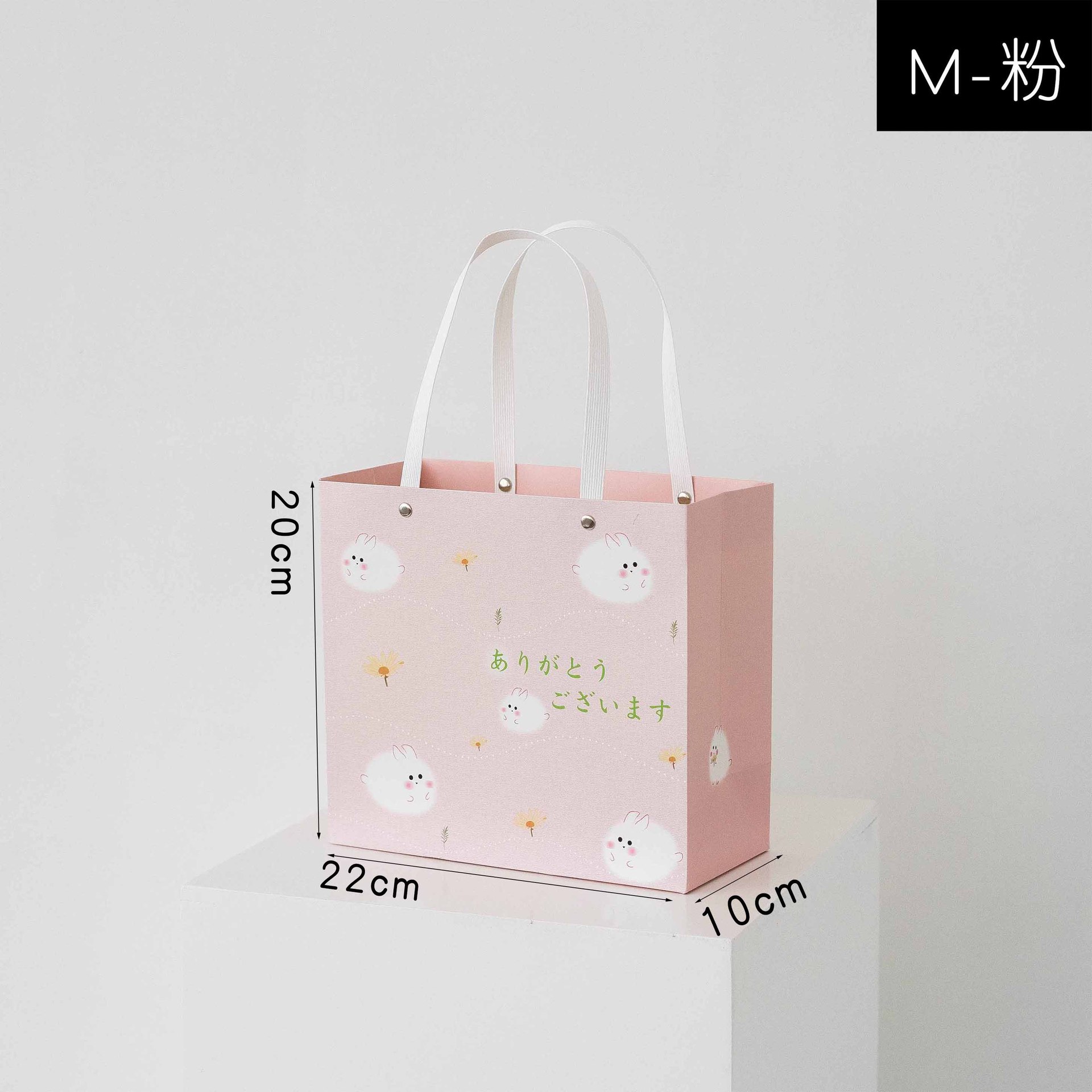 Ins estilo bolso de estilo japonés bolsa de regalo caja de almuerzo bolsa de almuerzo estudiante lindo bolso de embalaje de compras portátil