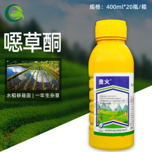 WW13%fͪ ˮһs rș݄