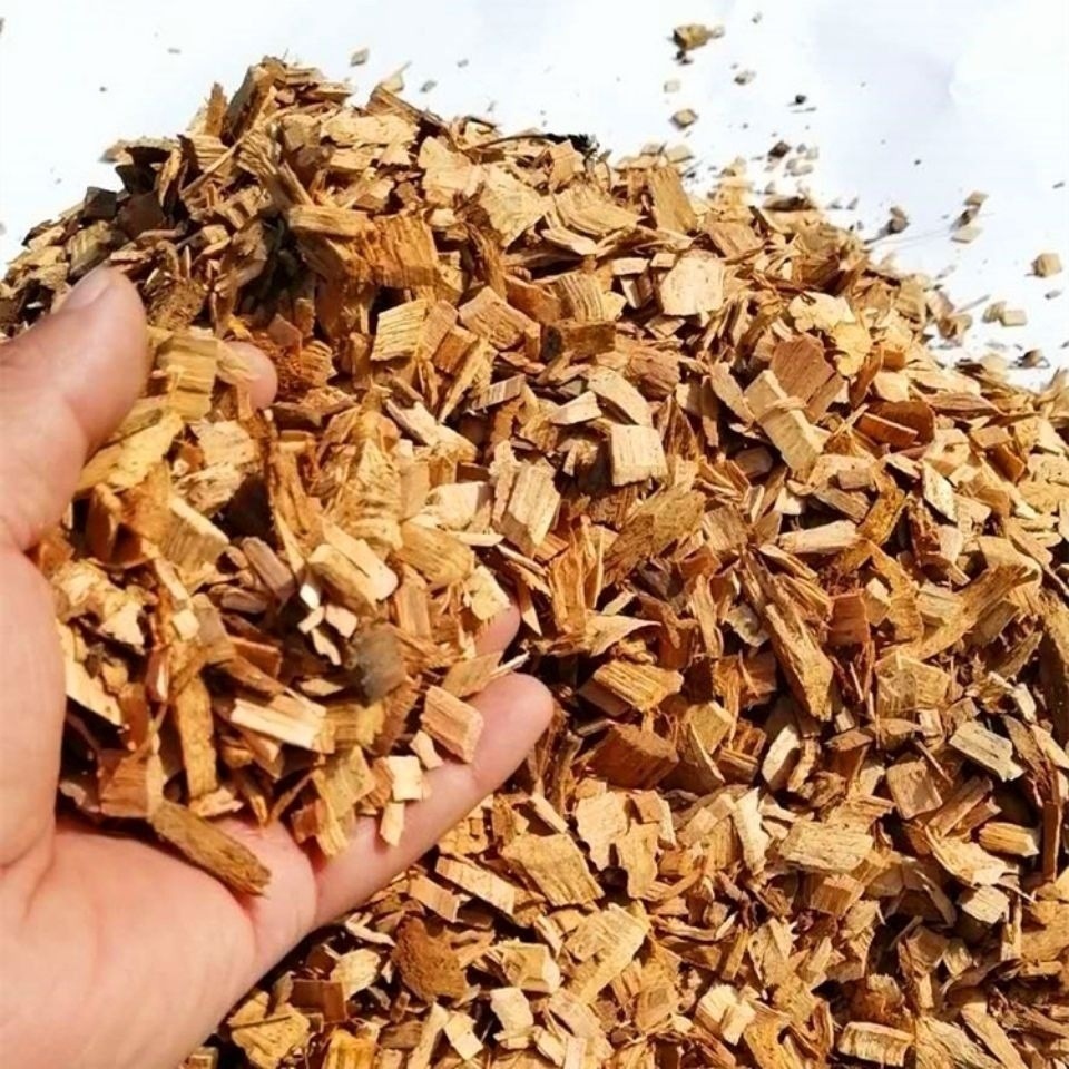 551e7b6b-71e3-4beb-ada6-7477ff2ed638.jpe