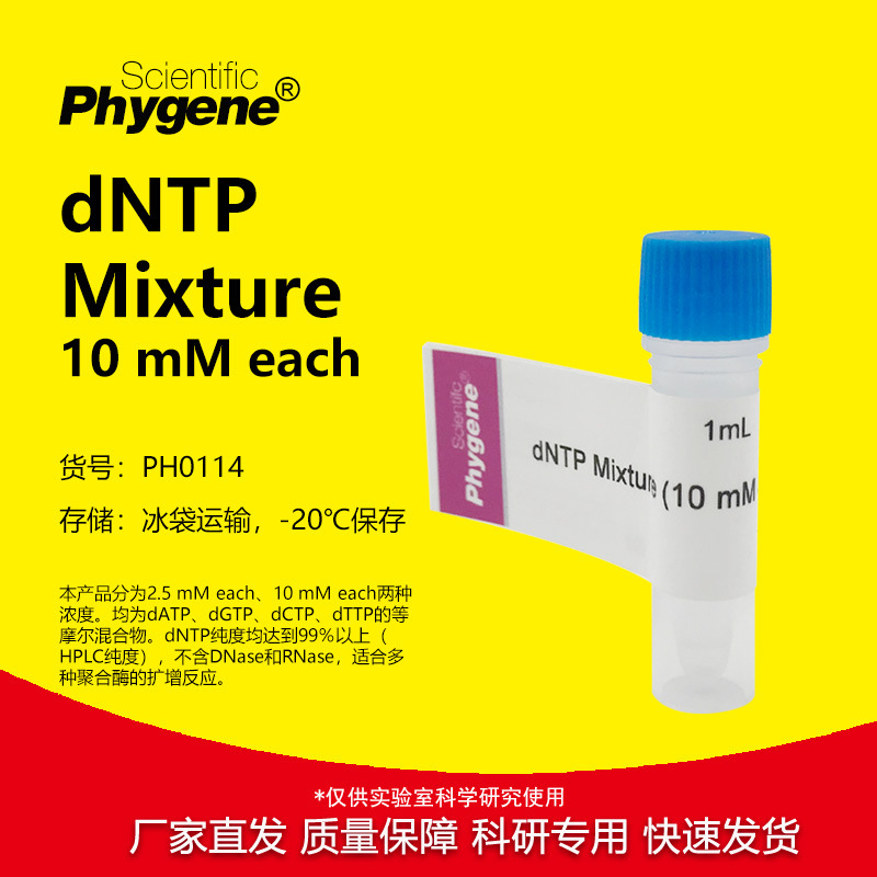 dNTP Mixture (10mM each) 超纯 [PH0114 PHYGENE]