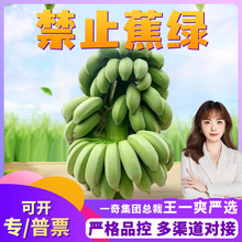 �V��С�׽���ֹ���G ���U3/5����Ƭ����ˮ���^�p���rˮ��С�׽�