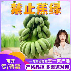 【禁止蕉绿严选】 广西小米香蕉代发5/9斤水培带杆整片香蕉水果盆