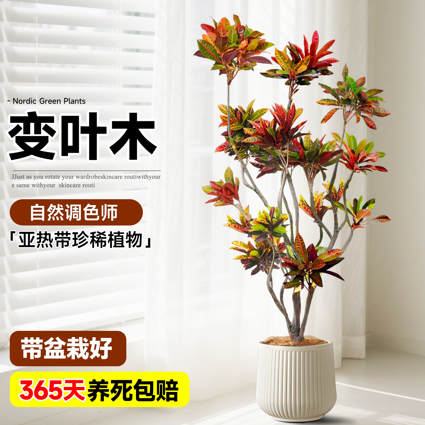 商品图