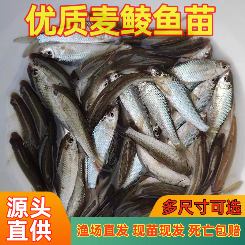 微信图片_20250620092205