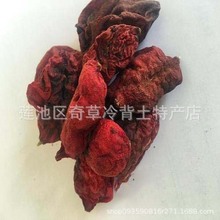 С�޿�ֲ��e����ī�ء����¹ϡ��u�̨����
