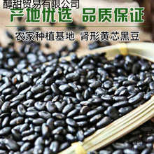 农家自产扁黑豆肾形黄芯小黑豆老品种雄黑豆醋泡生豆芽打豆浆批发