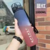Quality, red, fall protection, 1000 ml