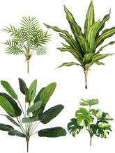 �Gֲާ�ֲ������쾰�ٻ��ݲ廨�b��G�݆�֦���ϻ�