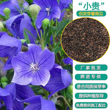 ۹Nӈ@ˇֲ̨ļNֲ ܷNӻNl