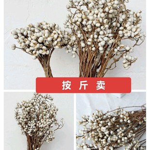 С�׹� �ɻ� ��Ȼ�ɘ�֦ �ɻ� С���º��s���W�廨�[�Odiy�ֹ���