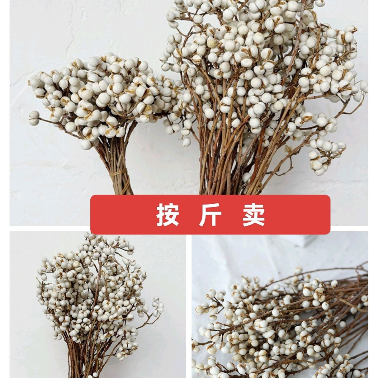 小白果 干花 天然干树枝 干花 小清新简约北欧插花摆设diy手工花